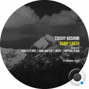 Toishy Koshimi - Damp Earth (2026)
