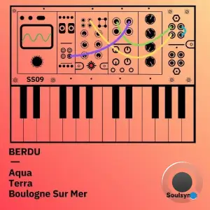 Berdu - Soulsynth 09 (2026)