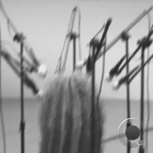 Leo Patt - Samarium (2026)