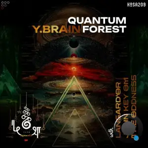Y.Brain - Quantum Forest (2026)