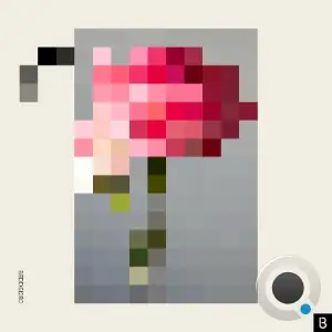 Hot Since 82 & Kuuda - Forever / Paper Walls (2026)