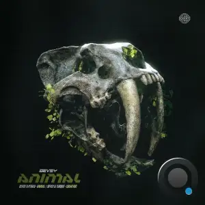 Bevsy & Torque - Animal (2026)