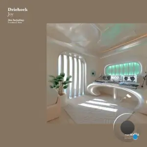Driehoek - Joy (2026)