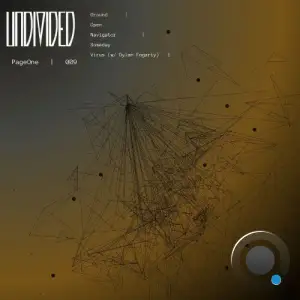 PageOne - Undivided #009 (2026)