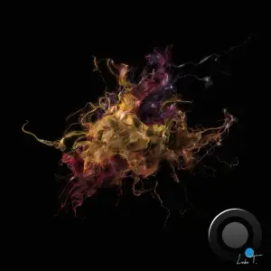 Polygraph - Fourth Wall (2026)