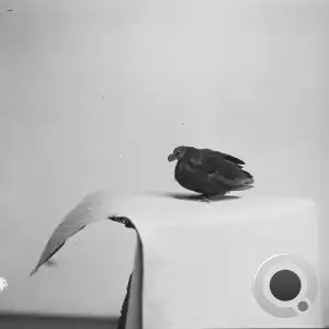 Maeksll - Cloakroom Queue (2026)