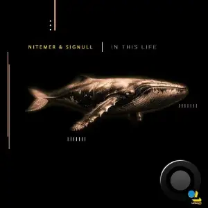 Nitemer & Signull - In This Life (2026)