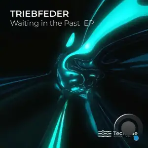 Triebfeder - Waiting in the Past (2026)