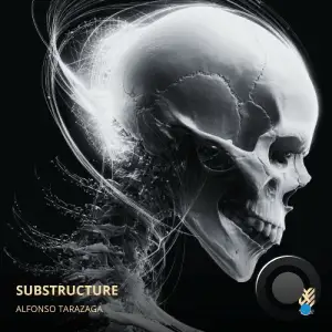 Alfonso Tarazaga - Substructure (2026)