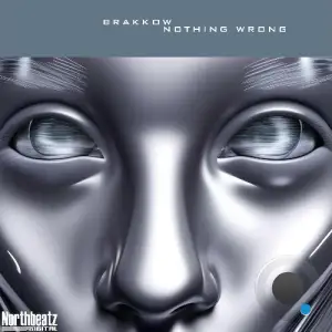 BRAKKOW - Nothing Wrong (2026)