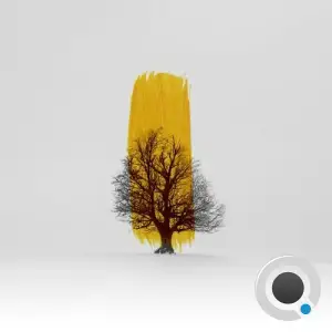 Aureolin Winter (2026)