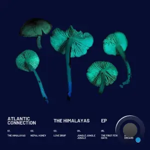 Atlantic Connection - The Himalayas (2026)