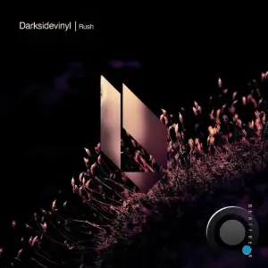 Darksidevinyl - Rush (2026)