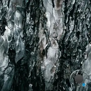 Aaron Schwarz - Parallel Motion (2026)