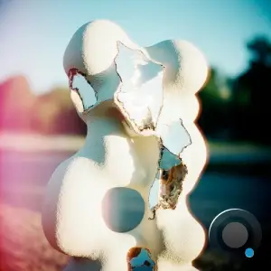 Roman Kyn - In Plain Sight Remixes (2026)