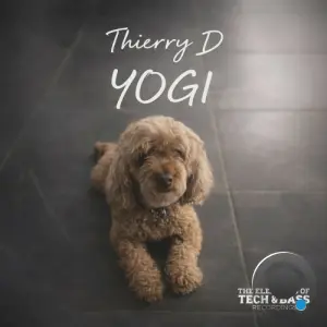 Thierry D - YOGI (2026)