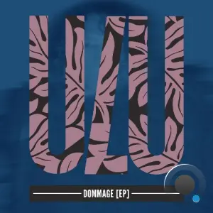 Coco & Ahoona - Dommage (2026)