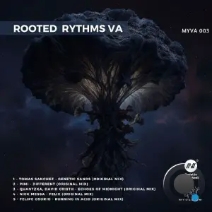 Rooted Rythms VA 3 (2026)