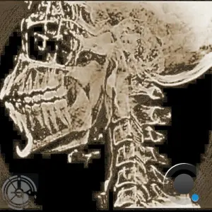 12 anniversary V.A. (2026)