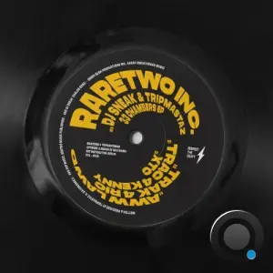 RareTwo Inc (DJ Sneak x Tripmastaz) - 33 CHAMBERS (2026)