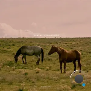 Braga Circuit - Thanks All (2026)