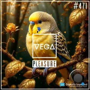 Vega Z - Pleasure 471 (2026-02-17)