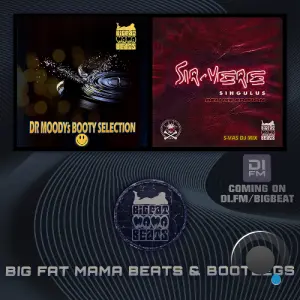 Dr Moody & Sir-Vere - Big Fat Mama Beats & Bootlegs 33 (2026-02-18)