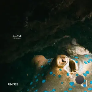 AllFive - Stingray (2026)