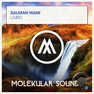 Salman Wani - Limbo (2026)