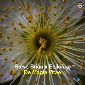 Steve Brian X Epilogus - De Magia Vitae (2026)