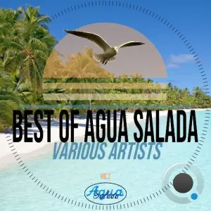 Best of Agua Salada Records Vol. 2 (2026)