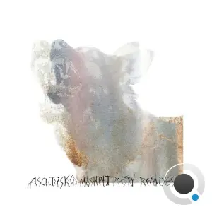 Ascii.Disko - Moshpit Poetry (Remixes 2) (2026)