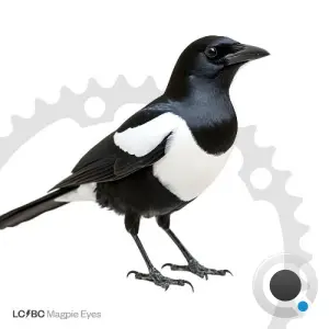LCBC - Magpie Eyes (2026)