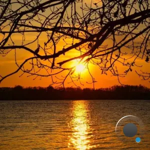 Blue Fire - Inner Bloom (2026)