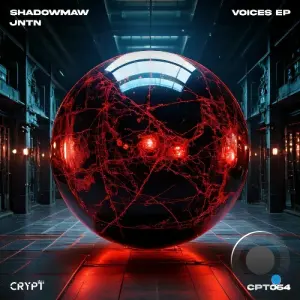 Shadowmaw & JNTN - Voices (2026)