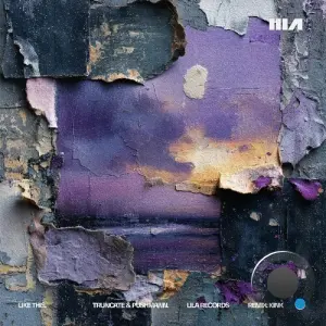 Truncate & PUSHMANN - Like This (2026)