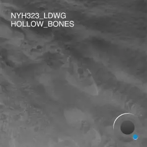 LDWG - Hollow Bones (2026)