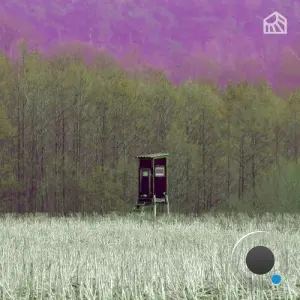 Falko Brocksieper - Afield (2026)