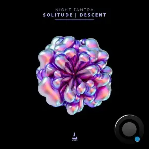 Night Tantra - Descent and Solitude (2026)