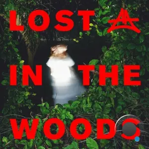 Adriatique & Elderbrook - Lost In The Woods (2026)