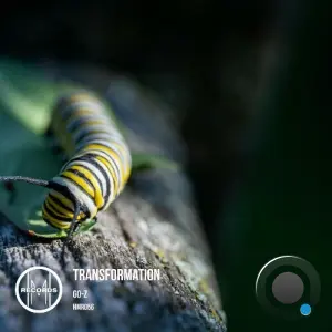 Go-z - Transformation (2026)