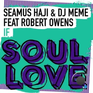 Seamus Haji x DJ Meme x Robert Owens - If (2026)