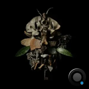 Francesco Fabris - DISPLACES (2026)