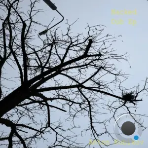 Anton Kubikov - Naked Dub (2026)