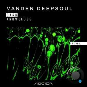 Vanden Deepsoul - Dark Knowledge (2026)