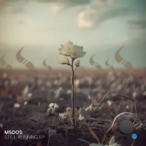 MSdoS - Still Running (2026)