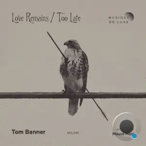 Tom Banner - Love Remains / Too Late (2026)