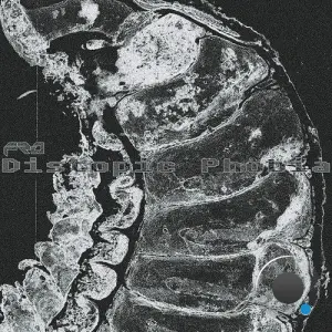 Fro - Distopic Phobia (2026)