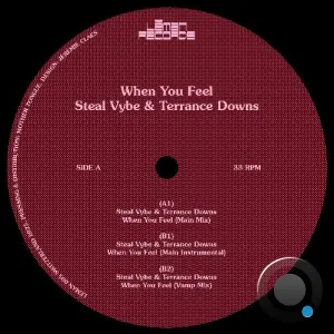 Steal Vybe x Terrance Downs - When You Feel (2026)
