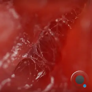 Skungal - Cold Surge (2026)